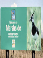 Marshside sign