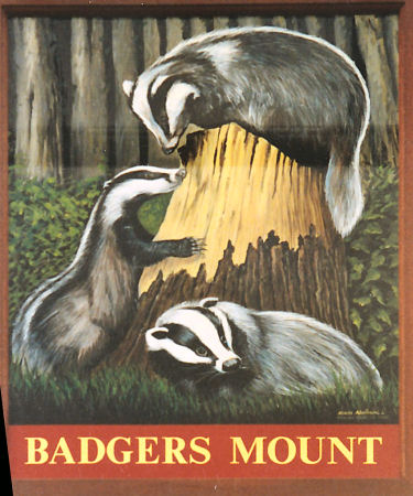 Badgers Mount sign 1994