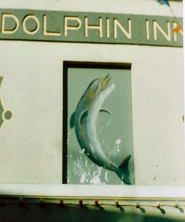 Dolphin sign 1986