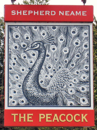 Peacock sign 2010