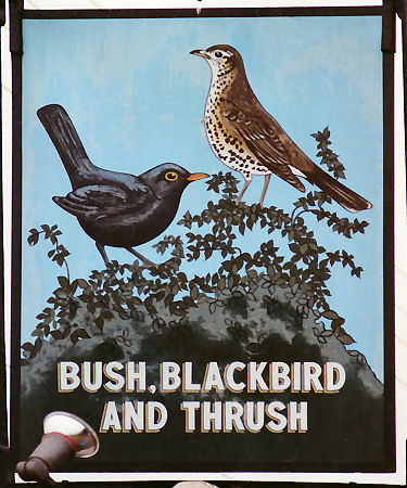Bush Blackbird and Thrush sign 1993
