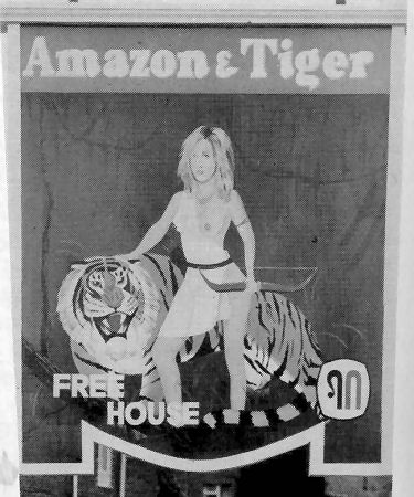 Amazon and Tiger sign 1987