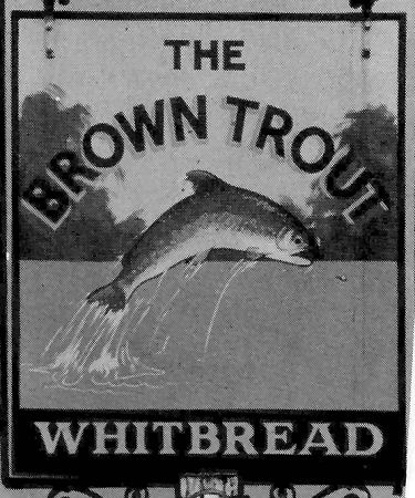 Brown Trout sign 1987