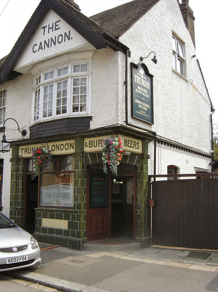 Cannon 2010