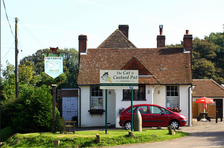 Cat and Custard Pot 2013