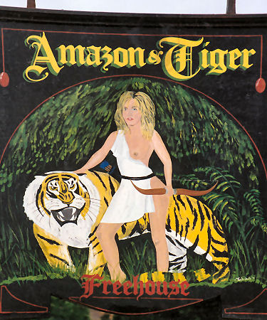 Amazon and Tiger sign 1993