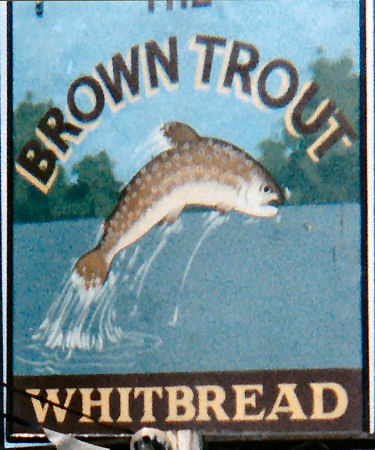 Brown Trout sign 1986