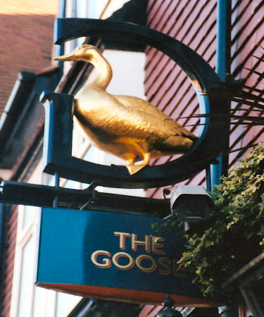 Goose sign 2002