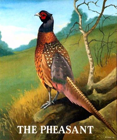 Pheasant sign 1994