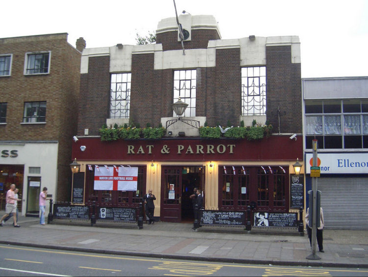 Rat and Parrot 2006