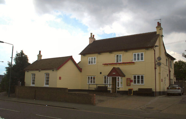 Three Blackbirds 2006