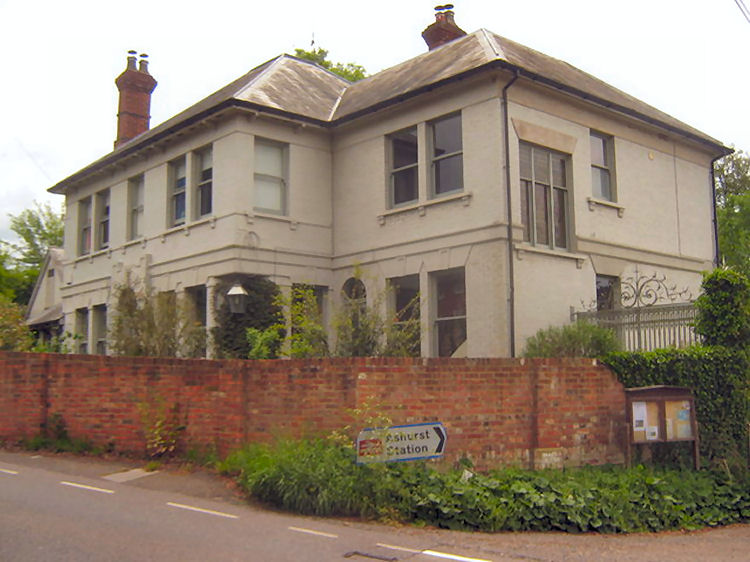 Bald Faced Stag 2010