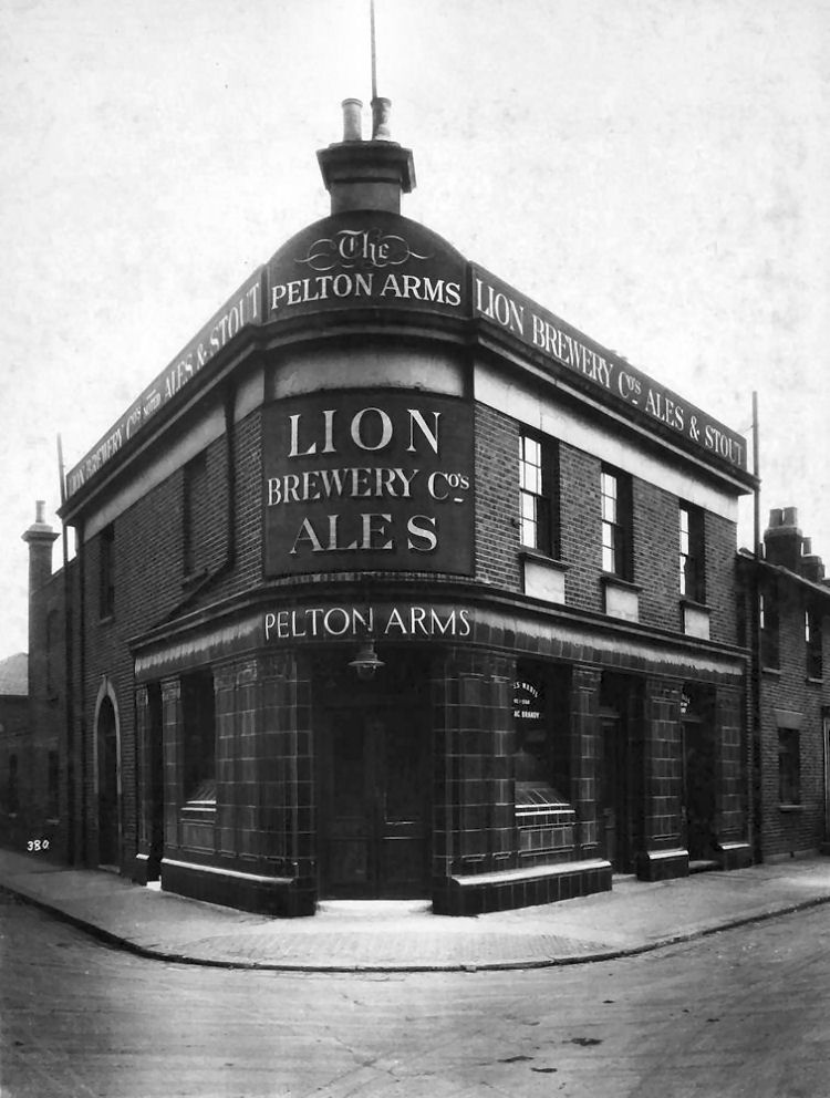Pelton Arms 1910