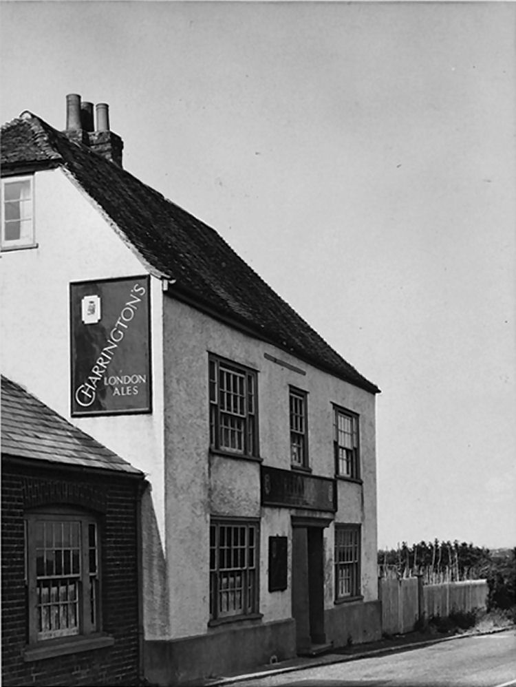 Red Lion 1952