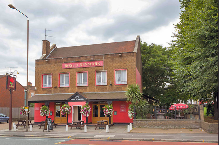 Rose of Denmark 2014