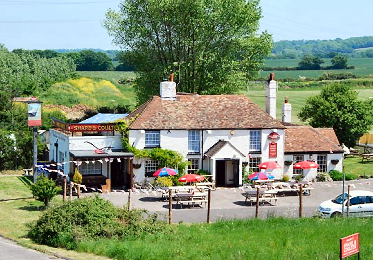 Share and Coulter 2012