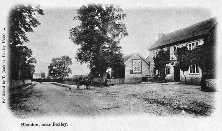 Three Blackbirds 1905