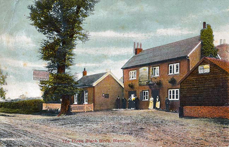 Three Blackbirds 1907