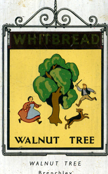Walnut Tree card