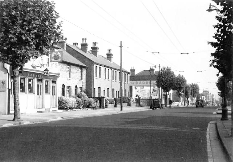 Duke of Edinburgh 1951