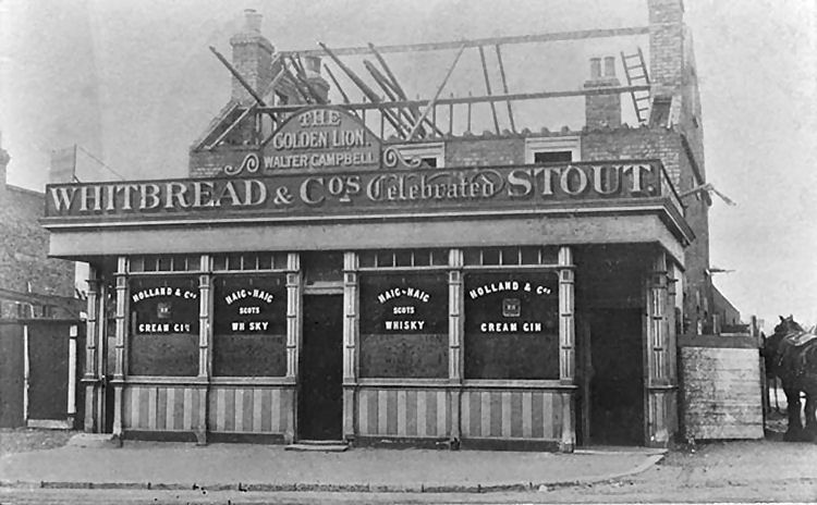 Original Golden Lion 1900