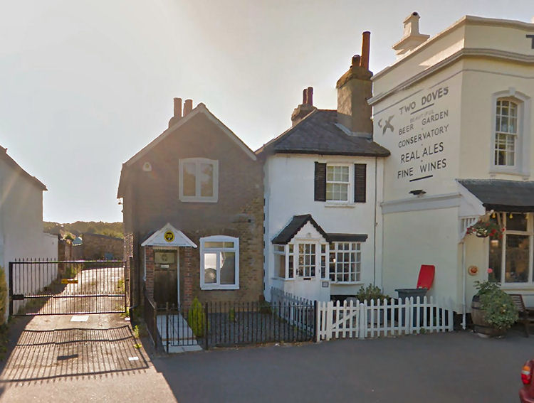 Grape Vine 33 Oakley Road