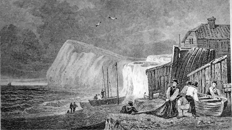 Mulberry Tree location