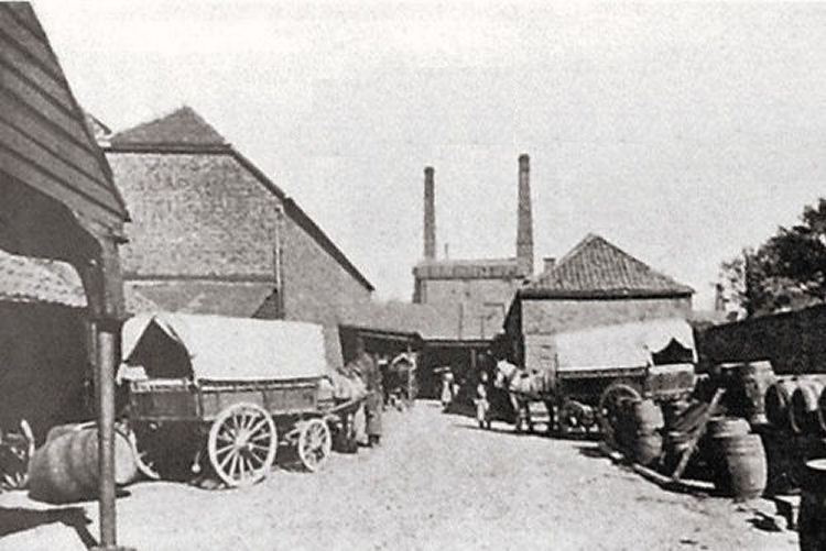 Hills Brewery 1901