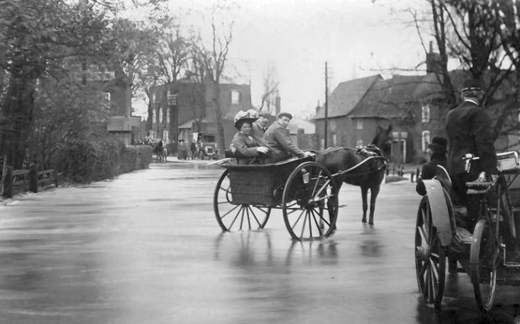 Leopard's Head 1909