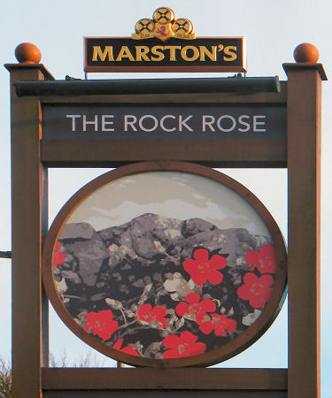 Rock Rose sign 2017