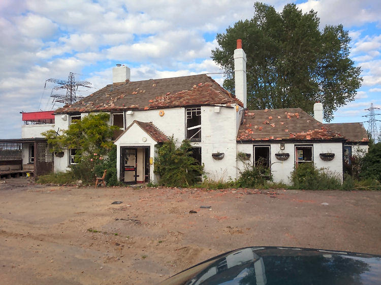 Share and Coulter 2017