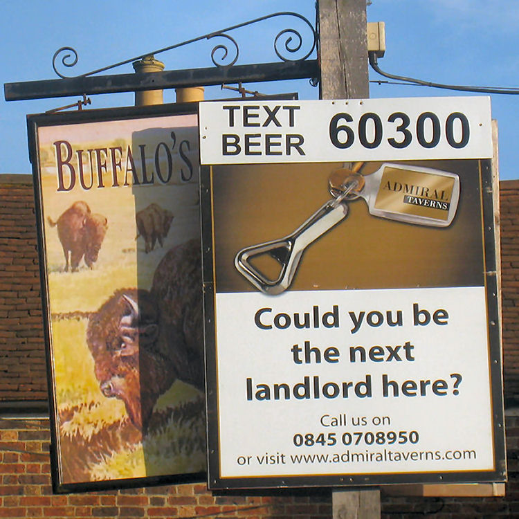 Buffalo's Head advert 2011