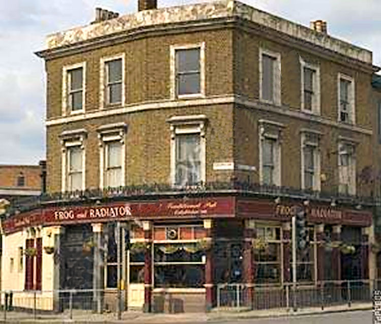 Frog and Radiator 2004