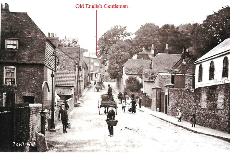 Old English Gentleman 1890