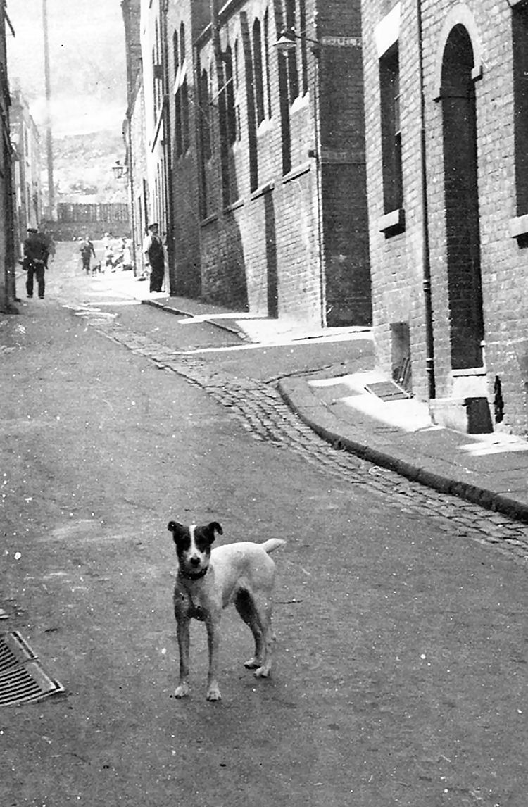 Adrian Street pre 1930