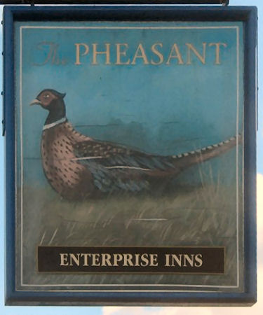 Pheasant sign 2011