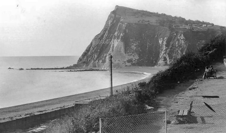 Mullberry Tree location 1950