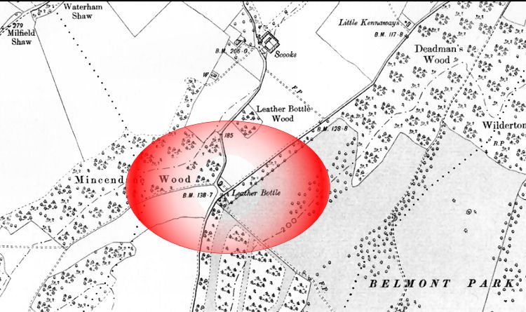 Leather Bottle map 1896