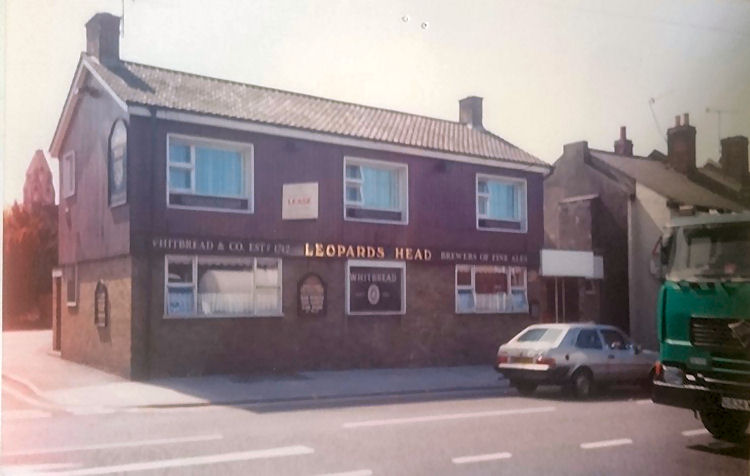 Leopard's Head 1989
