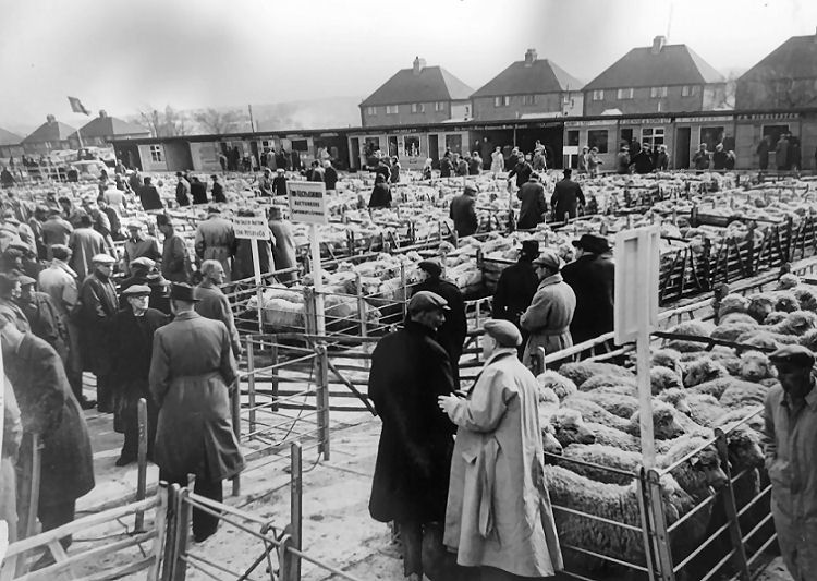 Market Inn 1955