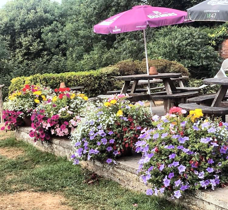 Black Horse garden 2019