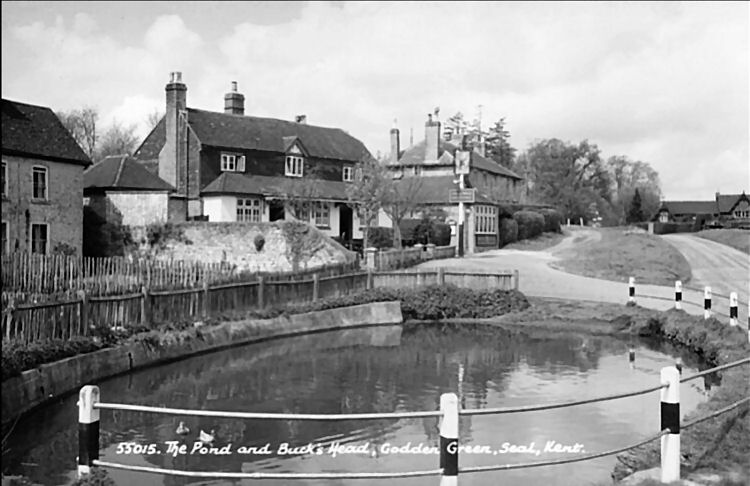 Bucks Head 1955