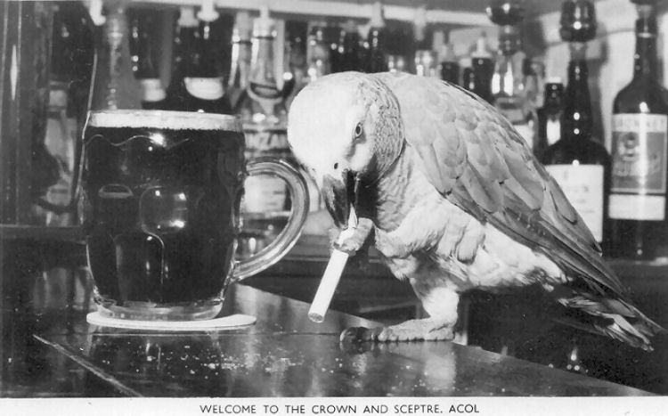 Crown and Sceptre postcard 1964