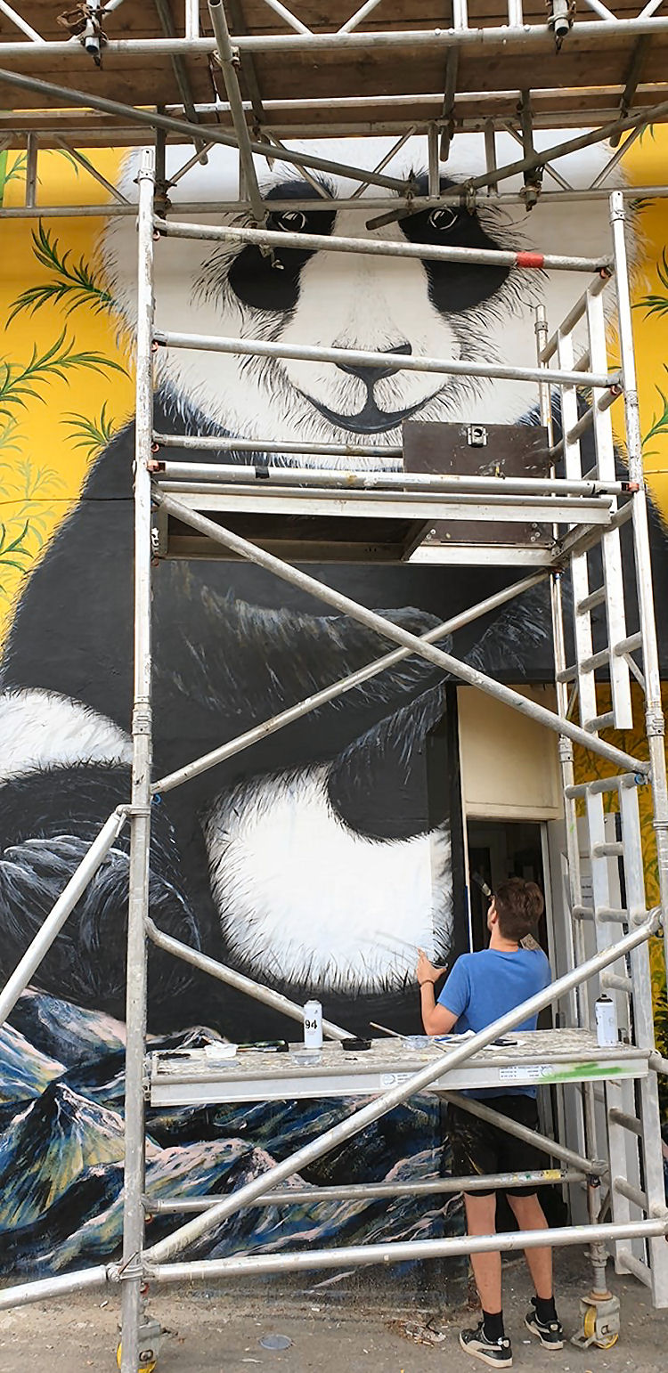 Crown of Bromley wall