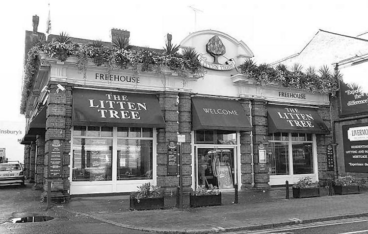 Litten Tree 2001