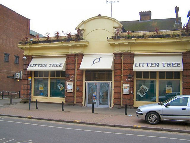 Litten Tree 2009