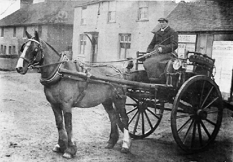 Old Cock Horse 1911