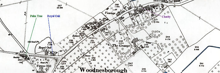 Woodnesborough map 1896