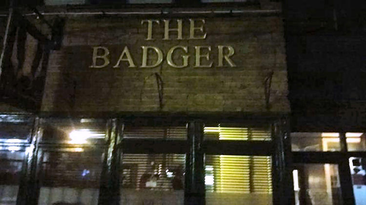 Badger 2014