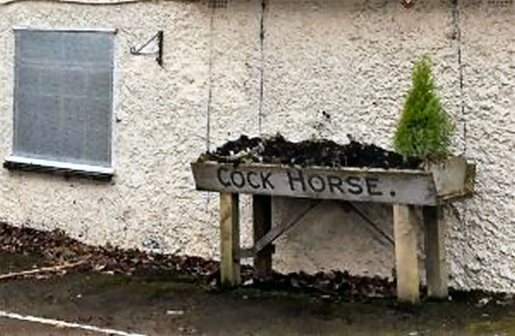 Cock Horse flower bed 2020